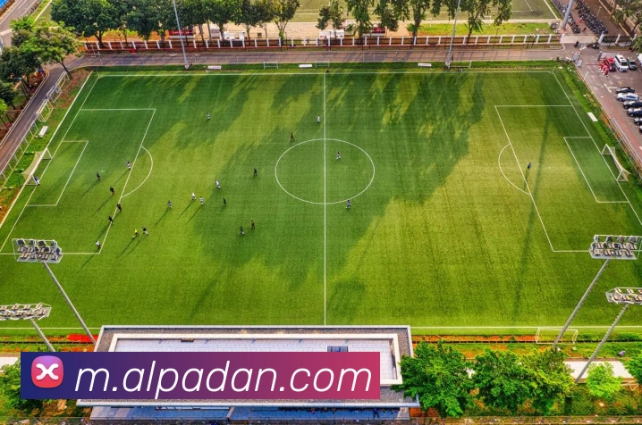 互动解说服务